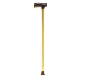 TYNOR WALKING STICK L Type Gold - 08