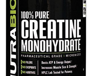 SR Creatine Monohydrate powder 500g